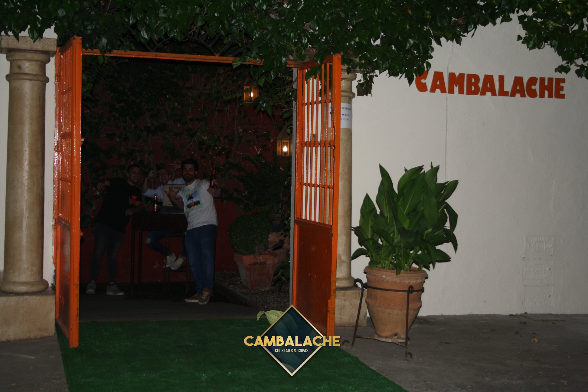 Imagen 2